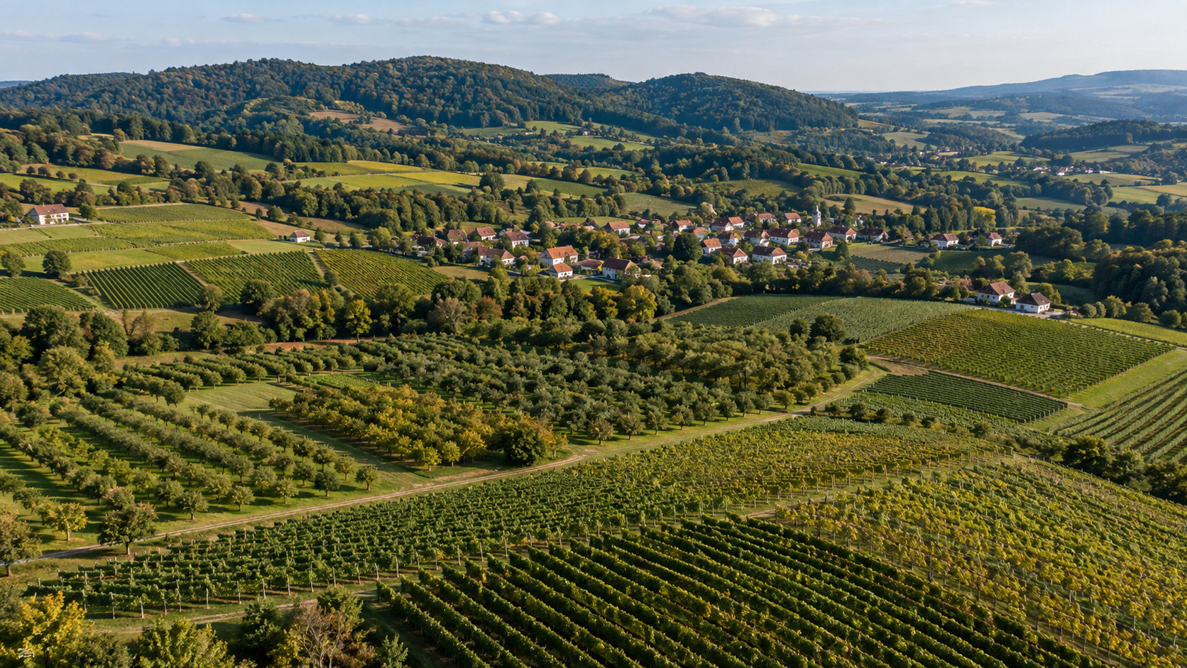 Aerial view of vineyards, orchards and countryside